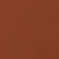 Can't Dull My Shine (rich brown)