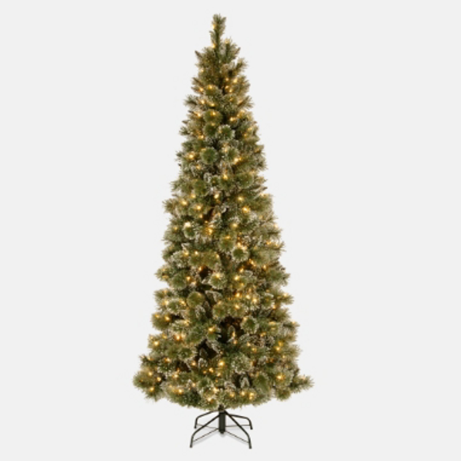 Trees 10 Feet +