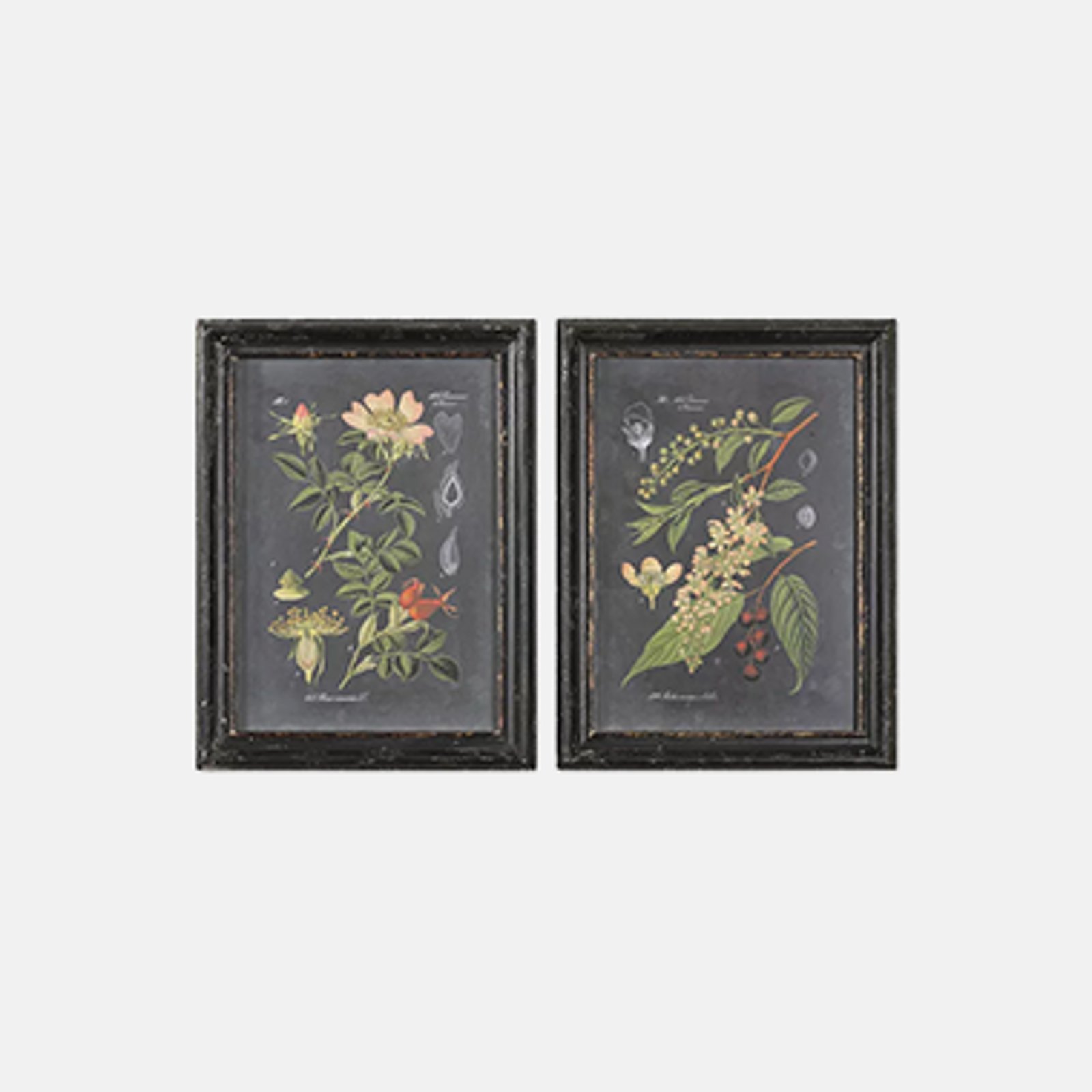 Wall Decor